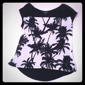 Express Palm Tree Top